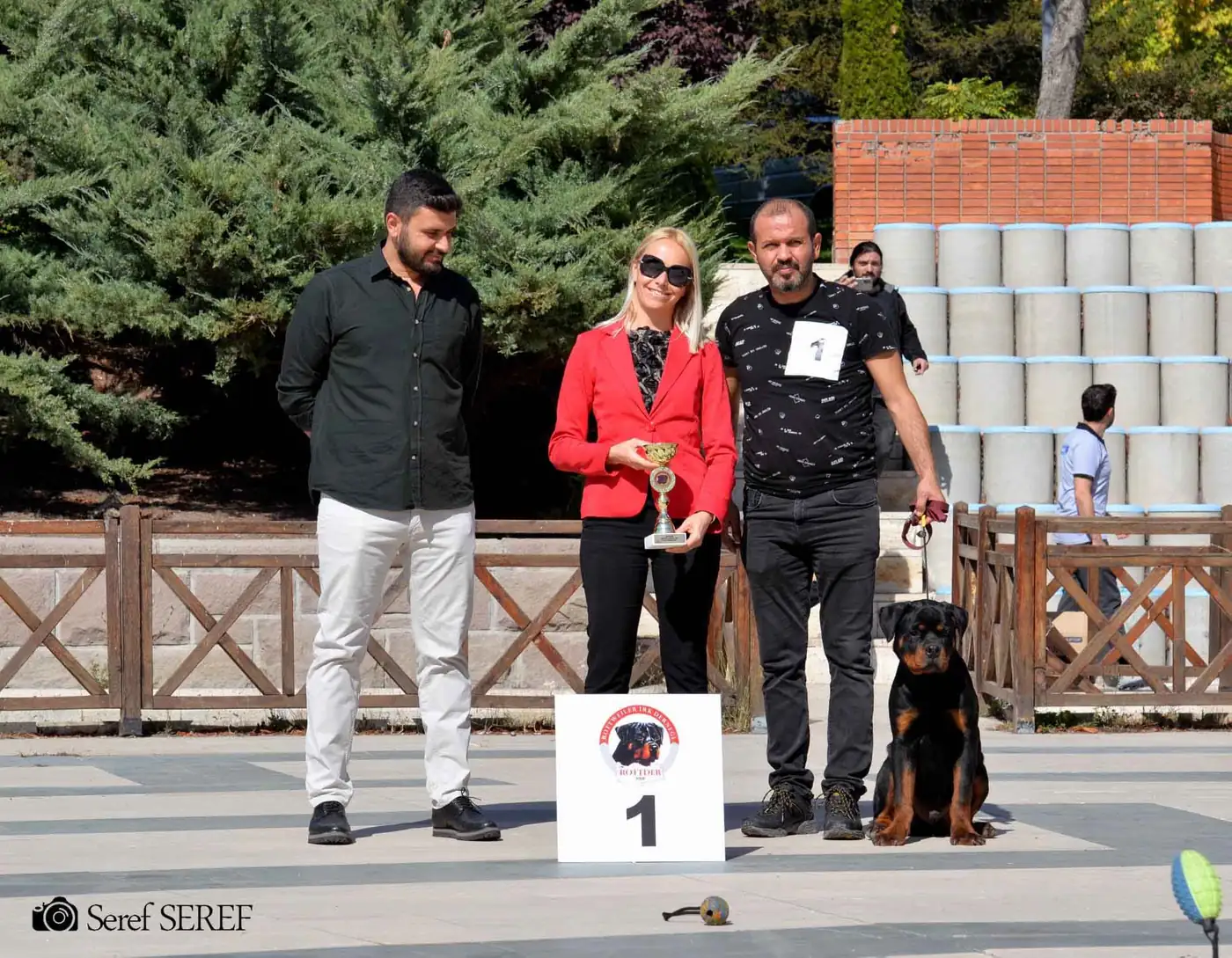 Köpek Oteli
